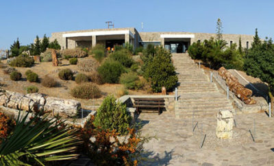 Natural History Museum of the Lesvos Petrified Forest