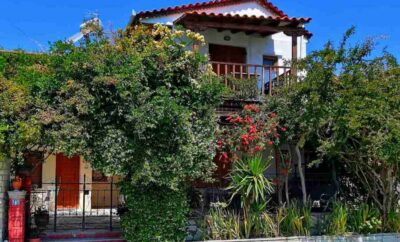 Roppas Studios Pilio